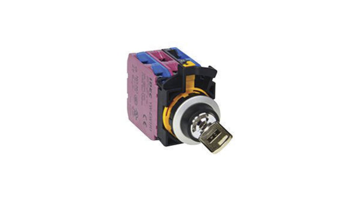 IP65 Key Switch, DPST 2-Way