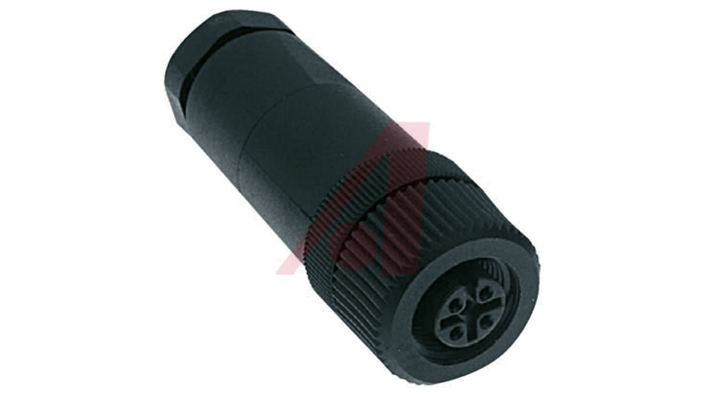 Turck Circular Connector, 4 Contacts, Cable Mount, M12 Connector, Plug, Female, B Series